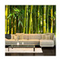 Voir la diapositive 1 : Paris Prix Papier Peint  Oriental Garden