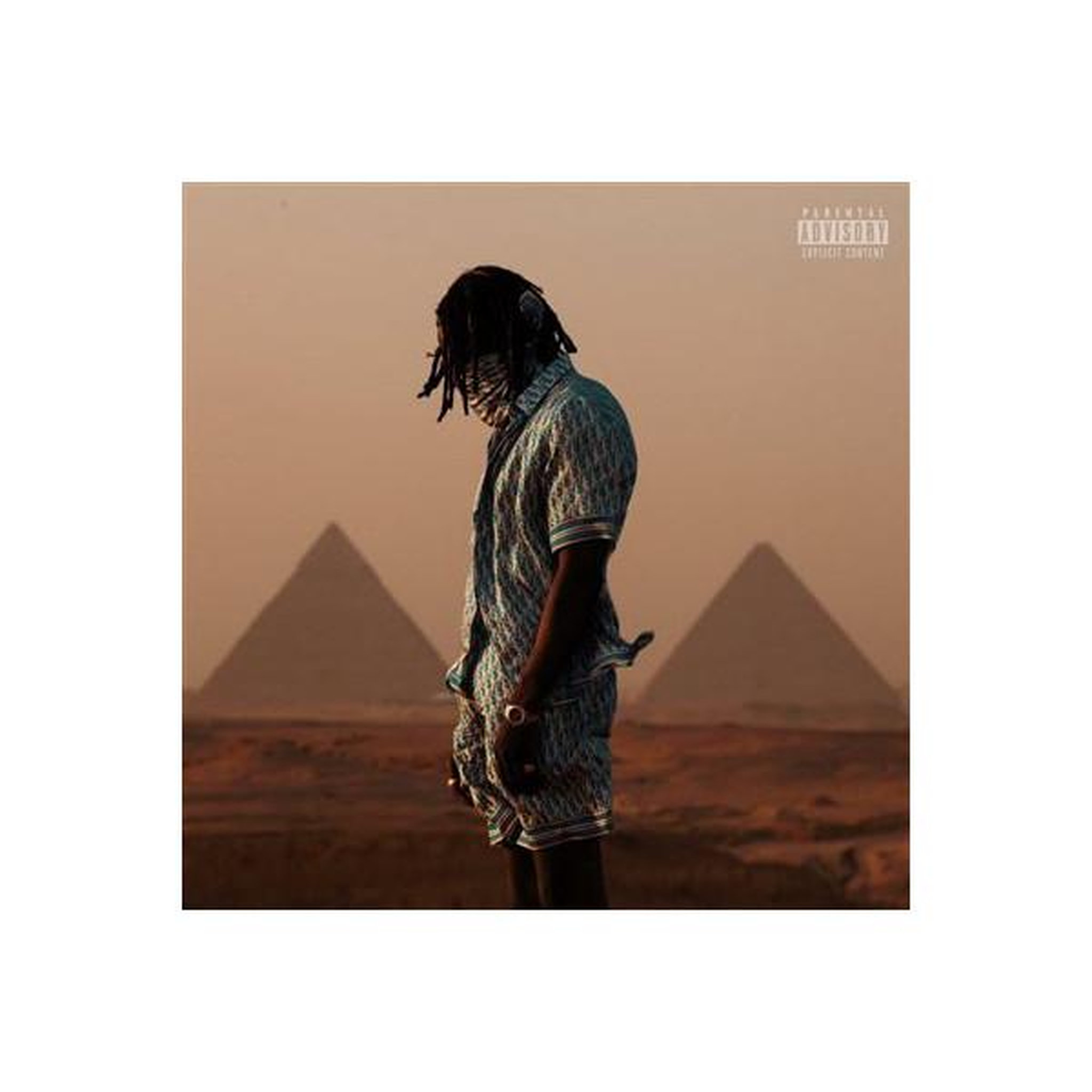 SONY Pochette d'album de musique vinyle en orientation portrait, désert aux pyramides en beige et brun