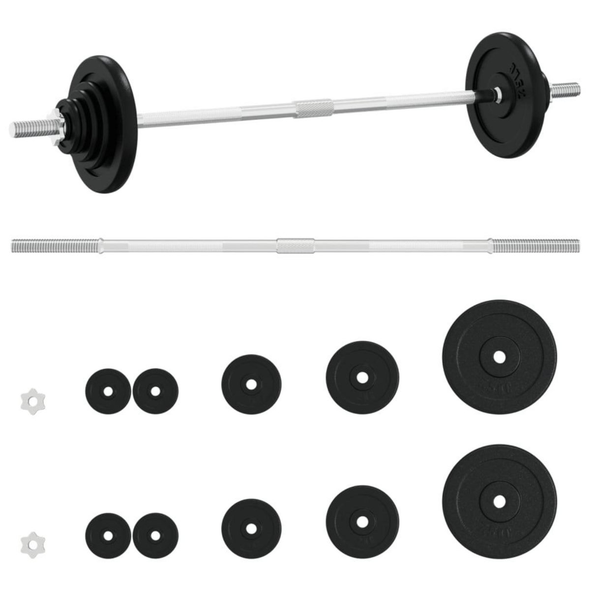 VIDAXL Ensemble d'halteres avec plaques 30 kg fonte