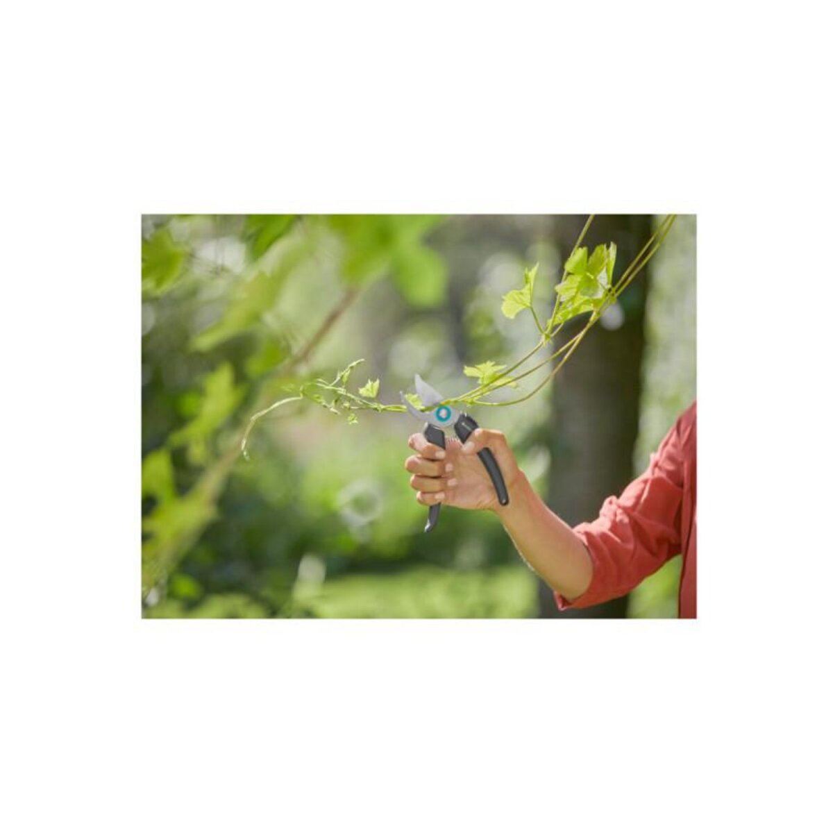 Gardena Sécateur à lame franche EcoLine GARDENA - Acier inoxydable - 18 mm - 12210-20