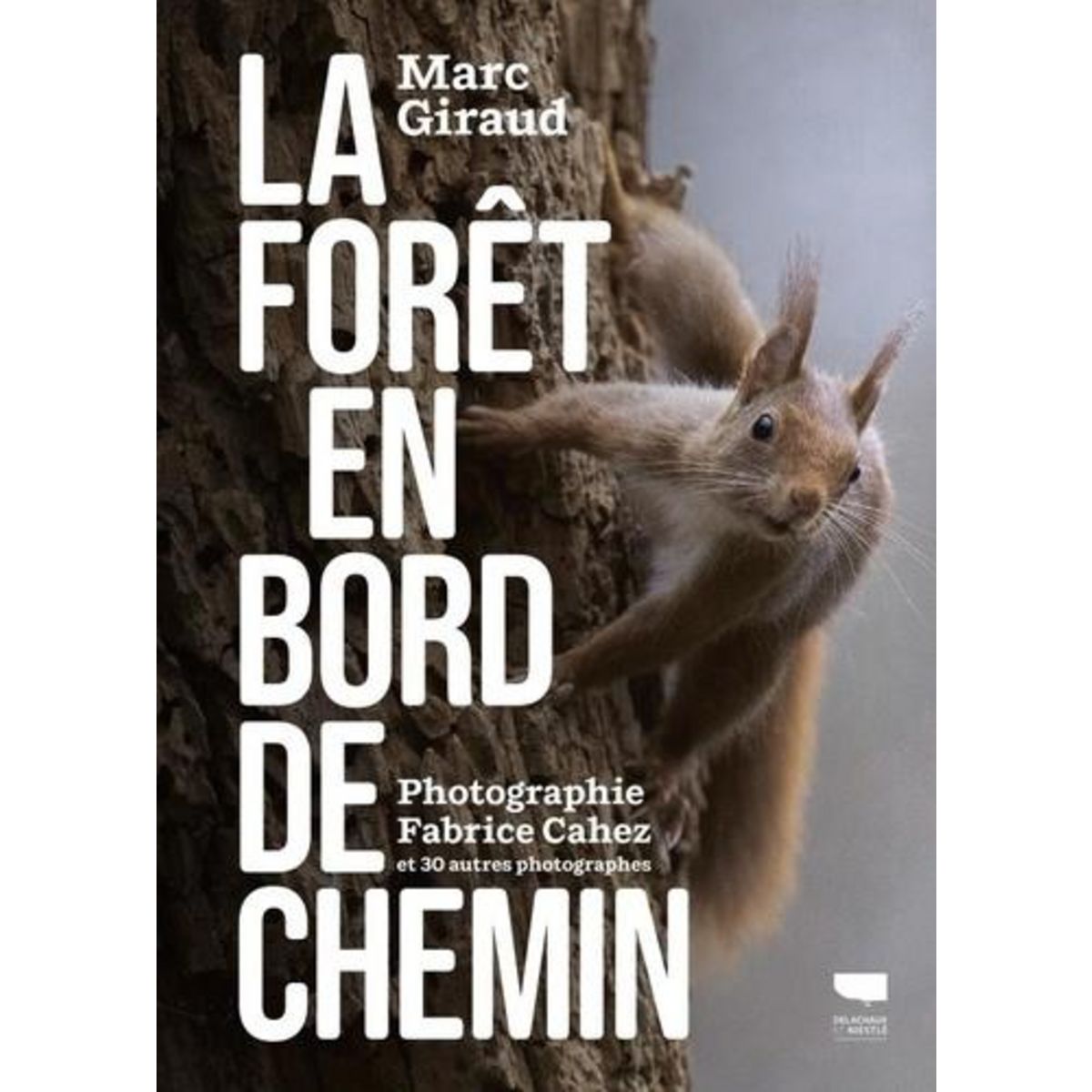 LA FORET EN BORD DE CHEMIN, Giraud Marc