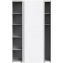 Voir la diapositive 3 : MARKET24 Armoire 2 portes coulissantes multifonction - Blanc mat - L 120 x P 41,6 x H 190,5 cm - OZZULA