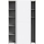 Voir la diapositive 3 : MARKET24 Armoire 2 portes coulissantes multifonction - Blanc mat - L 120 x P 41,6 x H 190,5 cm - OZZULA