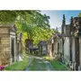 Smartbox Visite guidée en famille du cimetière du Père Lachaise pour 4 personnes à Paris - Coffret Cadeau Sport & Aventure