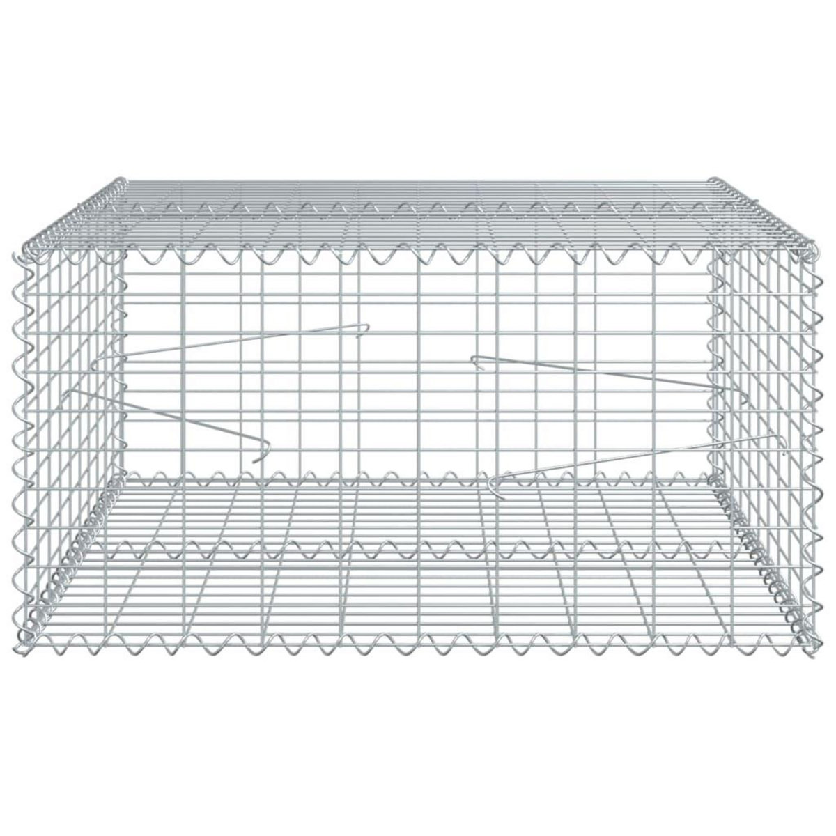 VIDAXL Panier gabion avec couvercle 100x100x50 cm fer galvanise