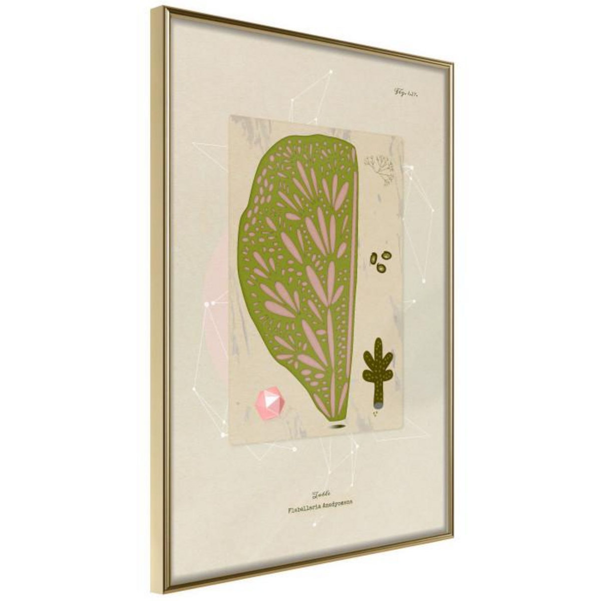 Paris Prix Affiche Murale Encadrée  Cross Section of a Leaf