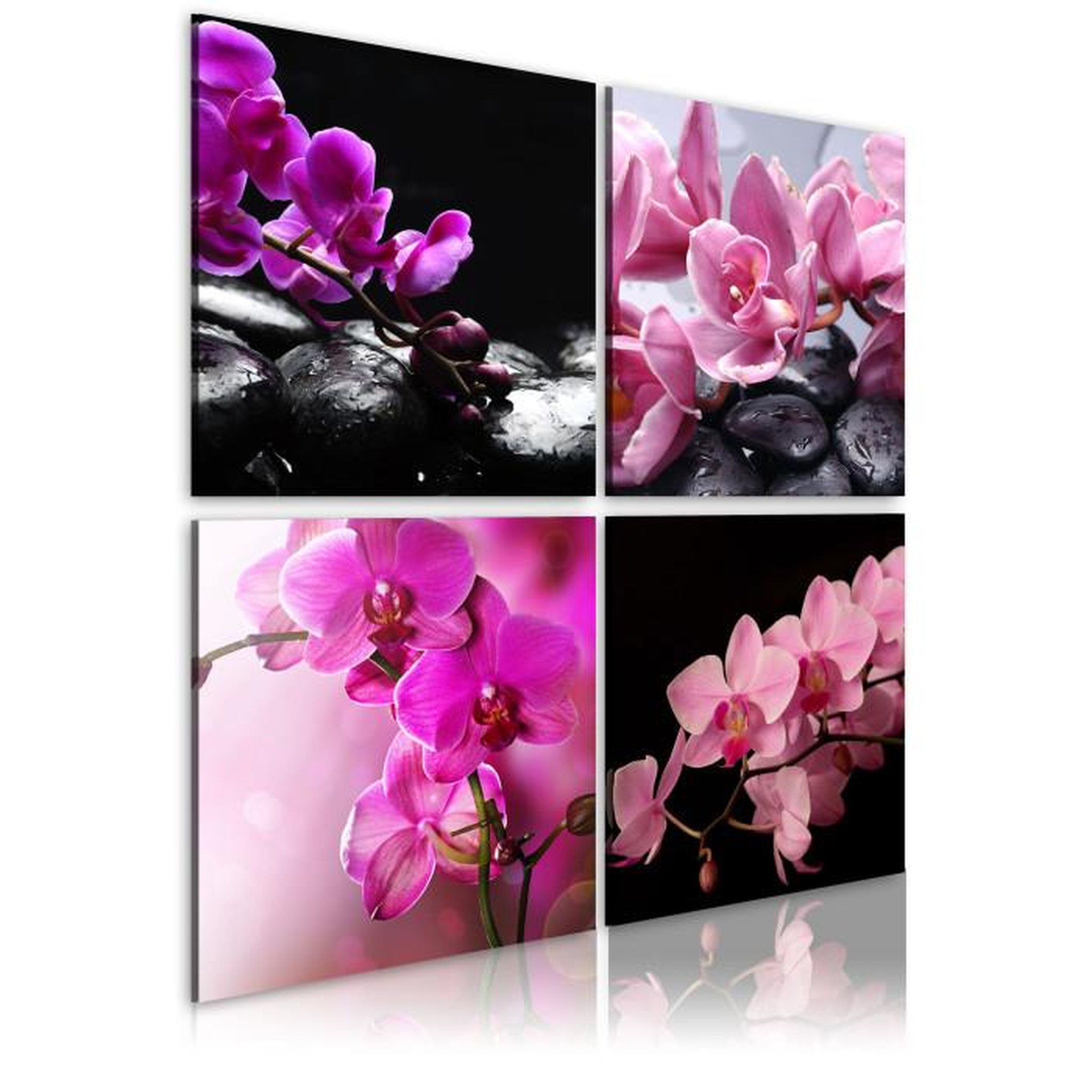 Paris Prix Tableau Imprimé  Orchidées Plus Belles Que Jamais. Coloris disponibles : Multicolore