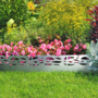 Voir la diapositive 5 : ID MARKET Bordurette de jardin x5 acier ajouré flexible L. 5 x H. 0.18 M