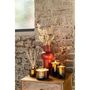 Voir la diapositive 3 : Paris Prix Huile Parfumée  Excellent  27cm Golden Honey Ocre