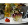 Voir la diapositive 4 : Smartbox Repas gourmand menu 4 plats pour deux en France - Coffret Cadeau Gastronomie
