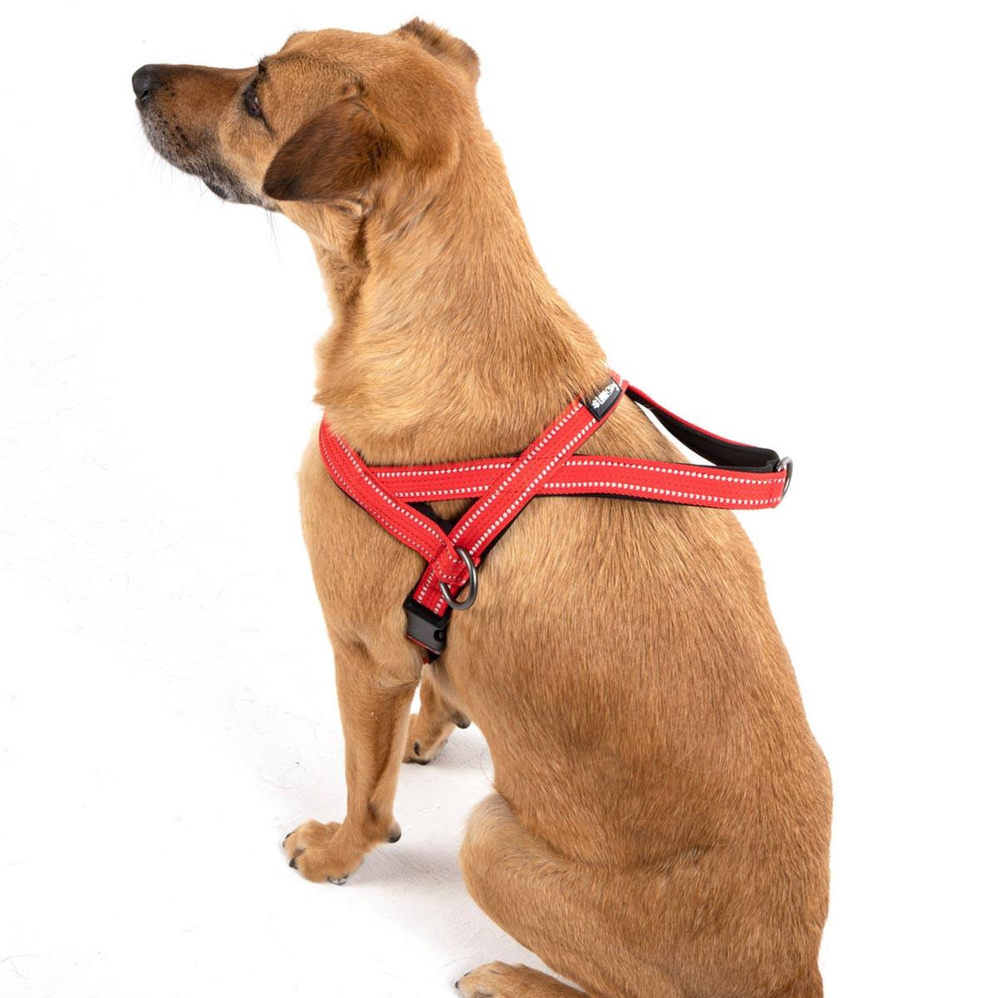 Voir la diapositive 4 : LOVE STORY Harnais norvégien  expert réglable  75cm rouge