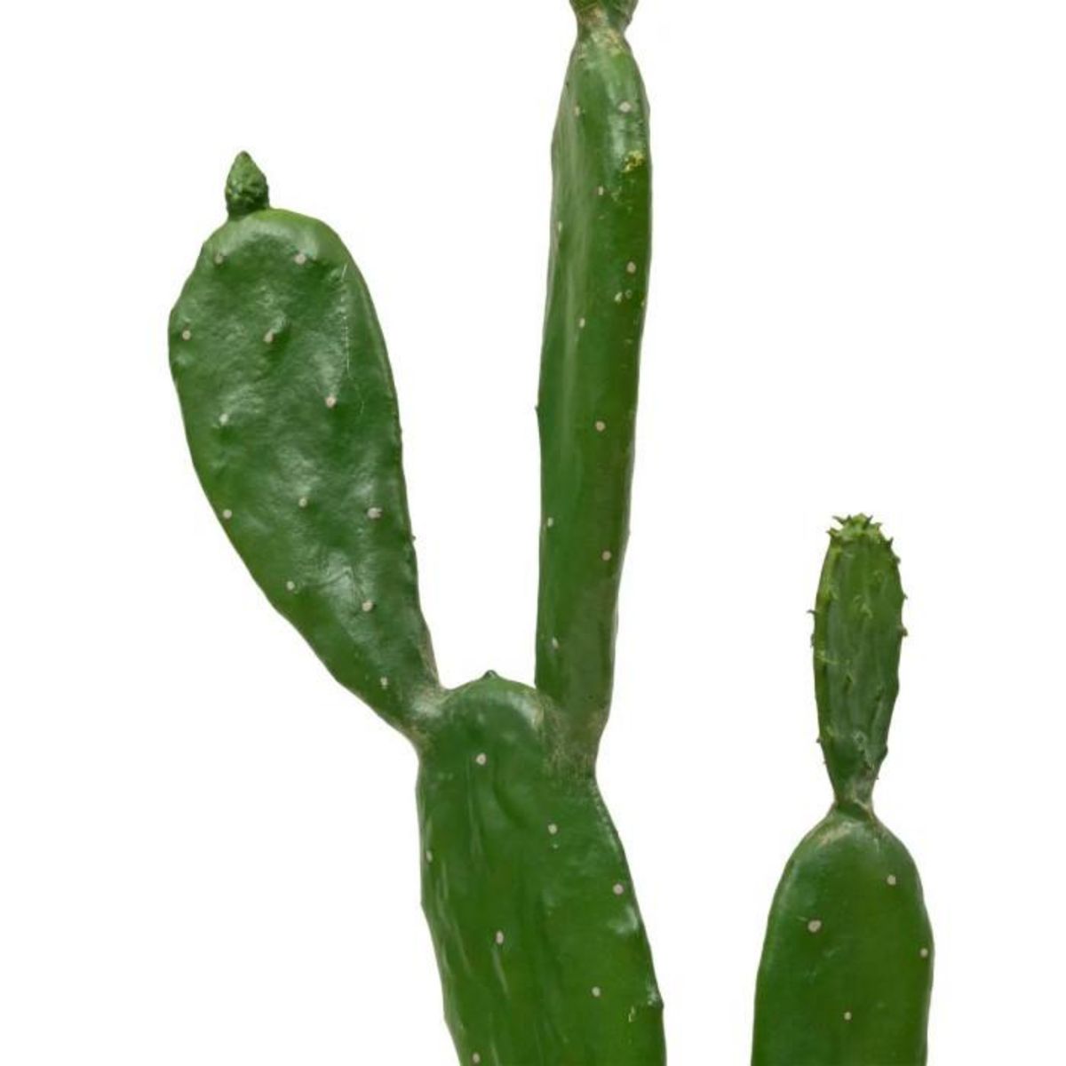 ATMOSPHERA Cactus Artificiel en Pot  Yukatan  109cm Vert