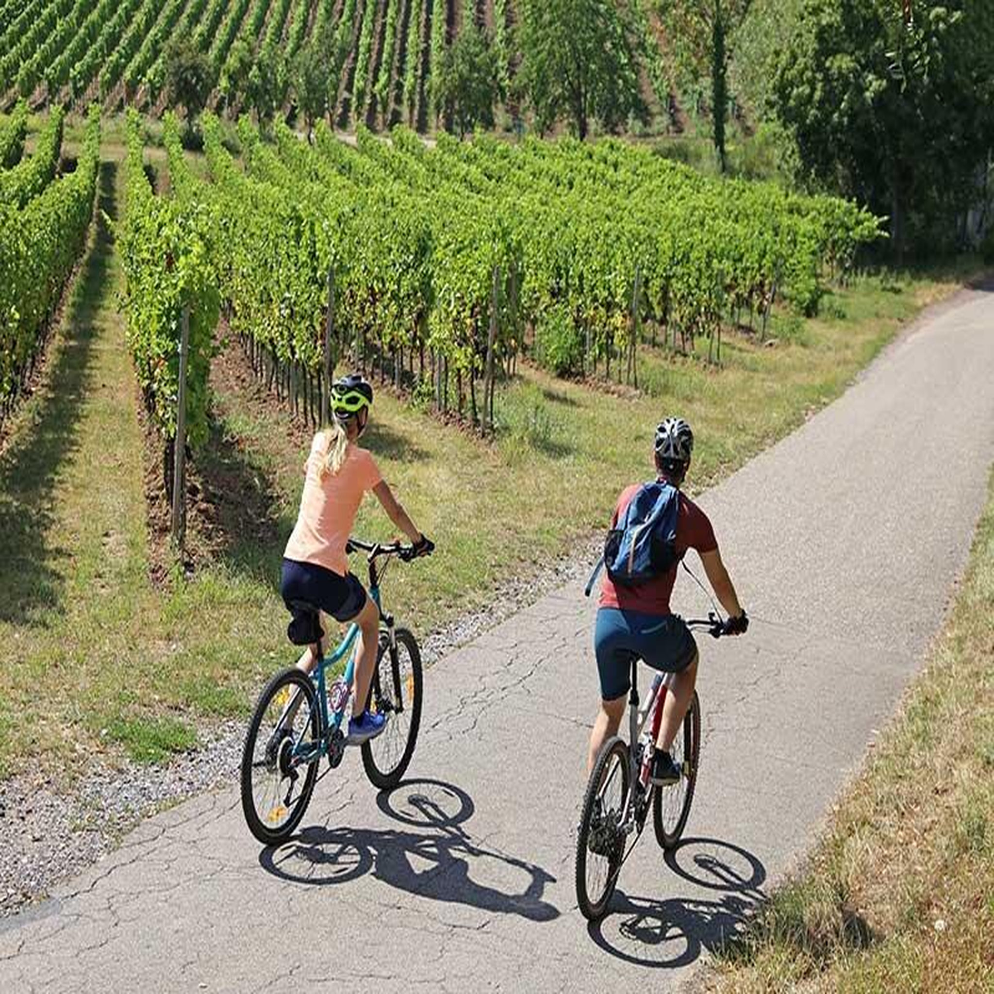 Voir la diapositive 2 : Smartbox Activités plein air aventure en france - coffret cadeau sport & aventure