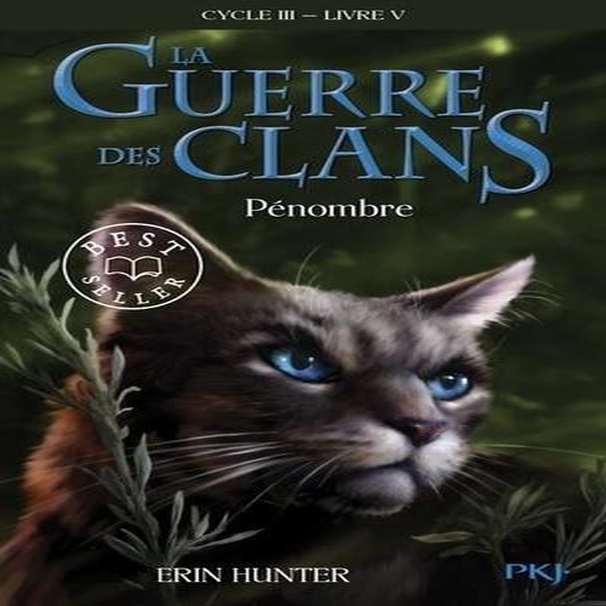 LA GUERRE DES CLANS : LE POUVOIR DES ETOILES (CYCLE III) TOME 5 : PENOMBRE, Hunter Erin