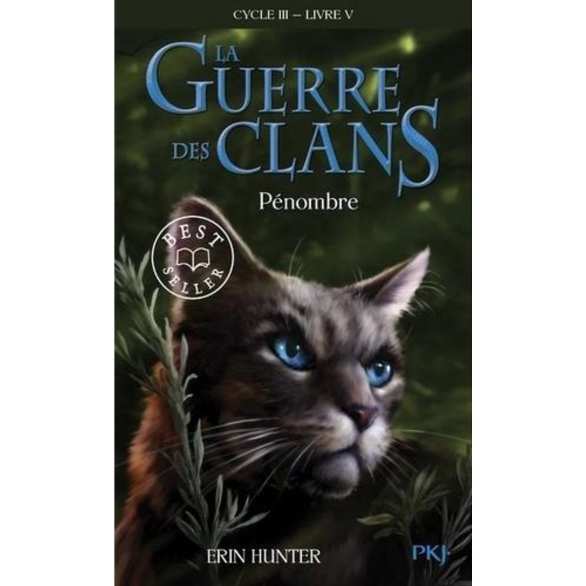 LA GUERRE DES CLANS : LE POUVOIR DES ETOILES (CYCLE III) TOME 5 : PENOMBRE, Hunter Erin