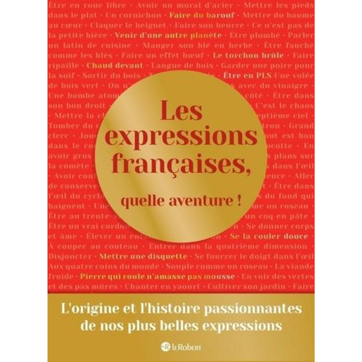 LES EXPRESSIONS FRANCAISES, QUELLE AVENTURE !, Boudes Yoan