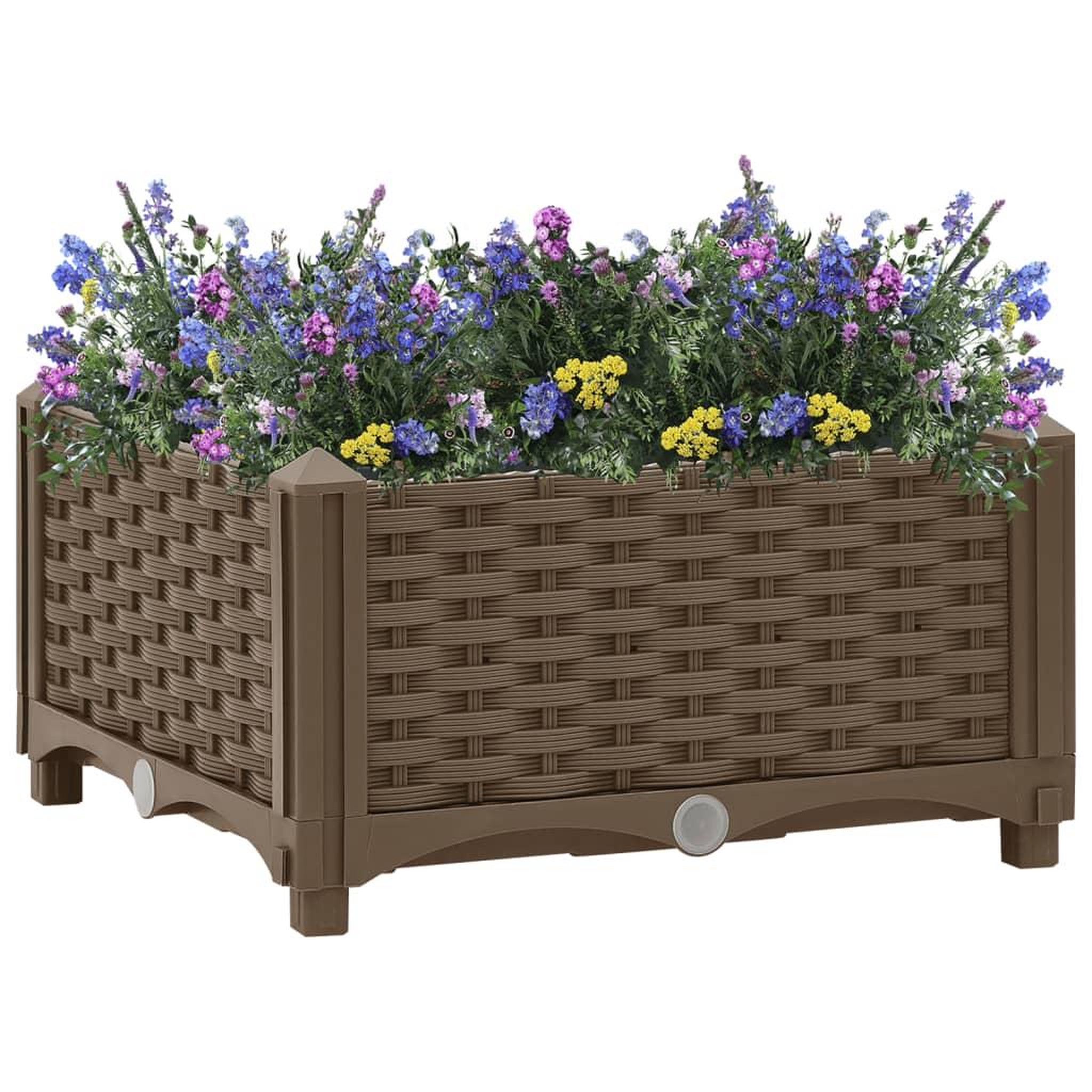 Voir la diapositive 1 : VIDAXL Lit sureleve 40x40x23 cm Polypropylene