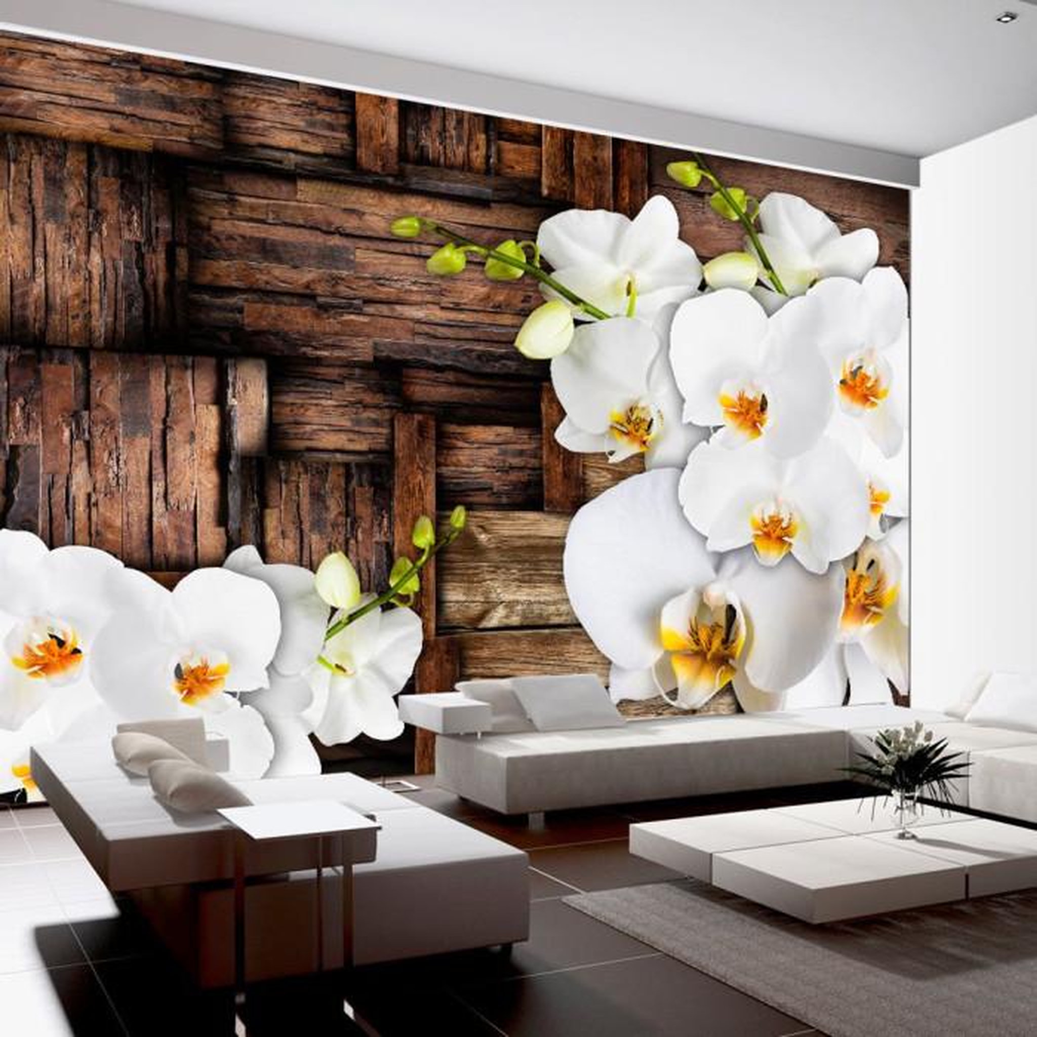 Paris Prix Papier Peint  Blooming Orchids. Coloris disponibles : Multicolore