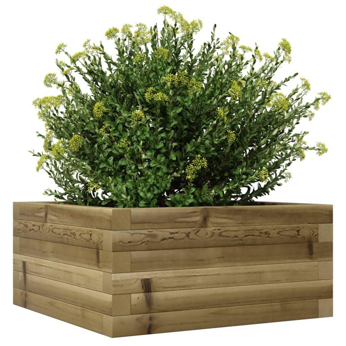 VIDAXL Jardiniere 50x50x23 cm bois de pin impregne