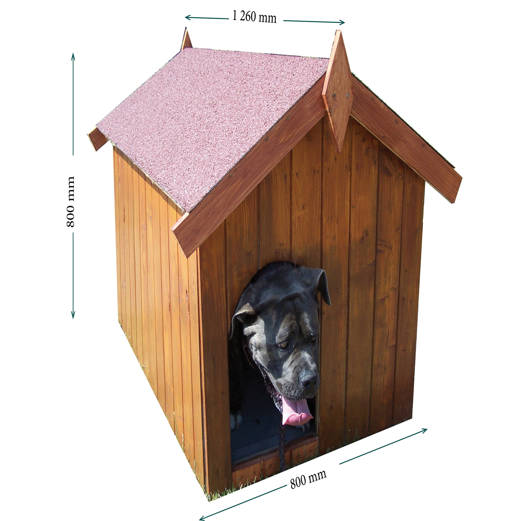 Voir la diapositive 3 : Niche petit chien Lintig
