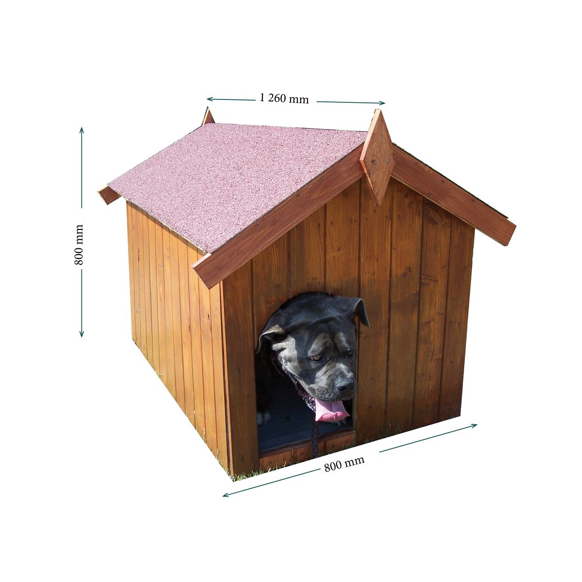 Niche petit chien Lintig