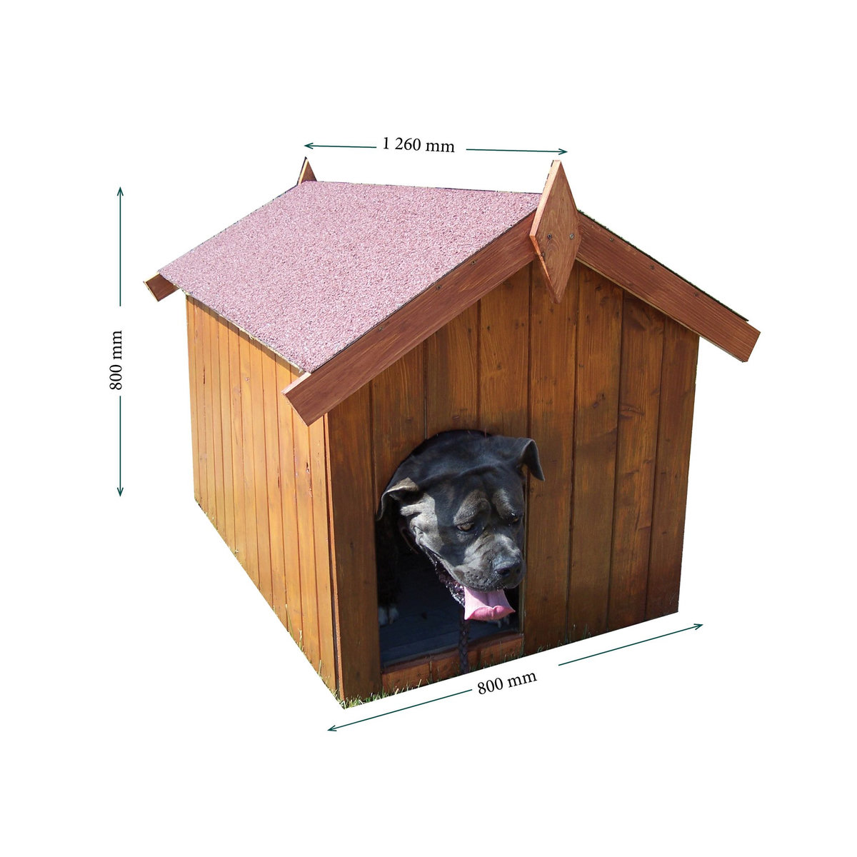 Niche petit chien Lintig