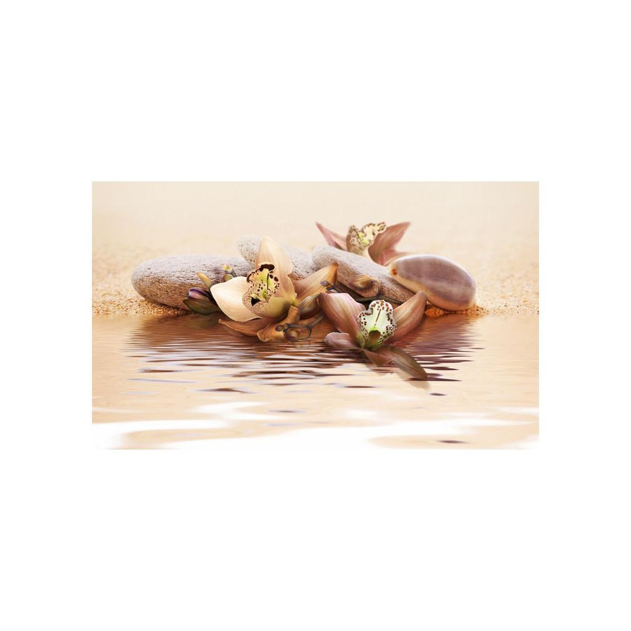 Voir la diapositive 2 : Paris Prix Papier peint  plage nénuphars  270x450cm