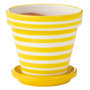 Voir la diapositive 1 : Paris Prix Pot Avec Soucoupe en Céramique  Granada Rayure  27cm Jaune