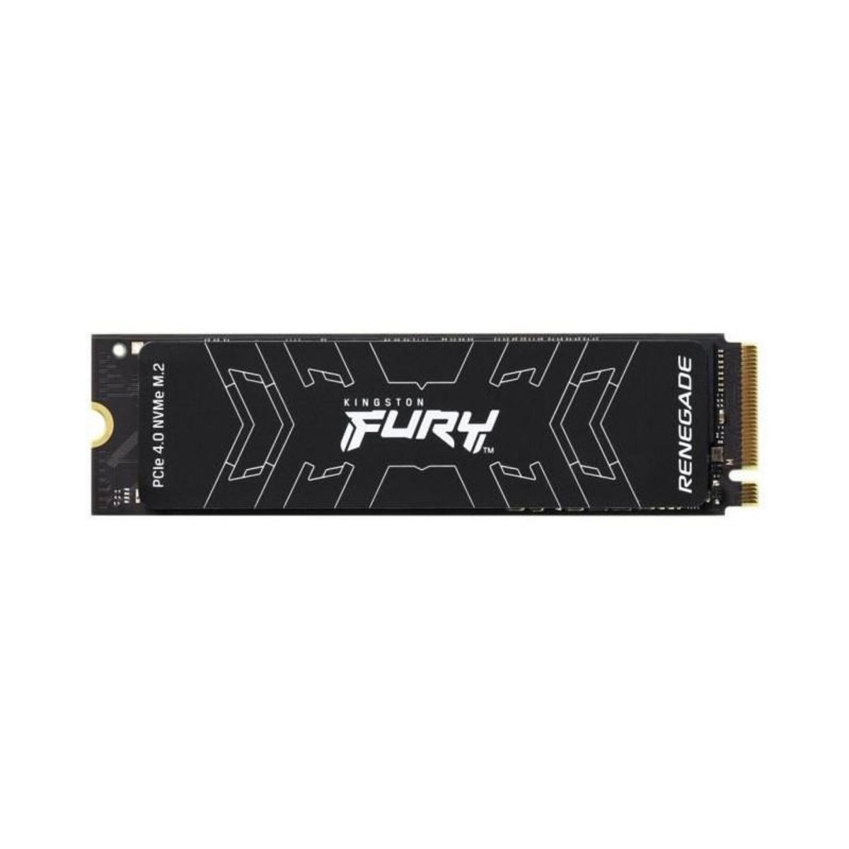 Kingston KINGSTON - SSD Interne - FURY Renegade - 500Go - M.2 NVMe (SFYRS/500G)