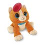 CHICCO Peluche Caché-Coucou Chat