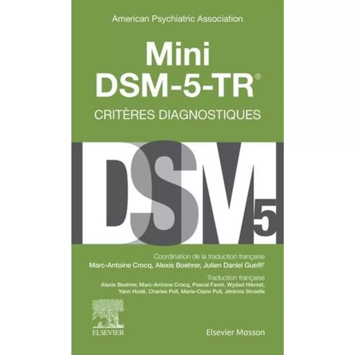  MINI DSM-5. CRITERES DIAGNOSTIQUES, Guelfi Julien Daniel