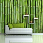 Paris Prix Papier Peint  Mur Vert Bambou II  450x270cm