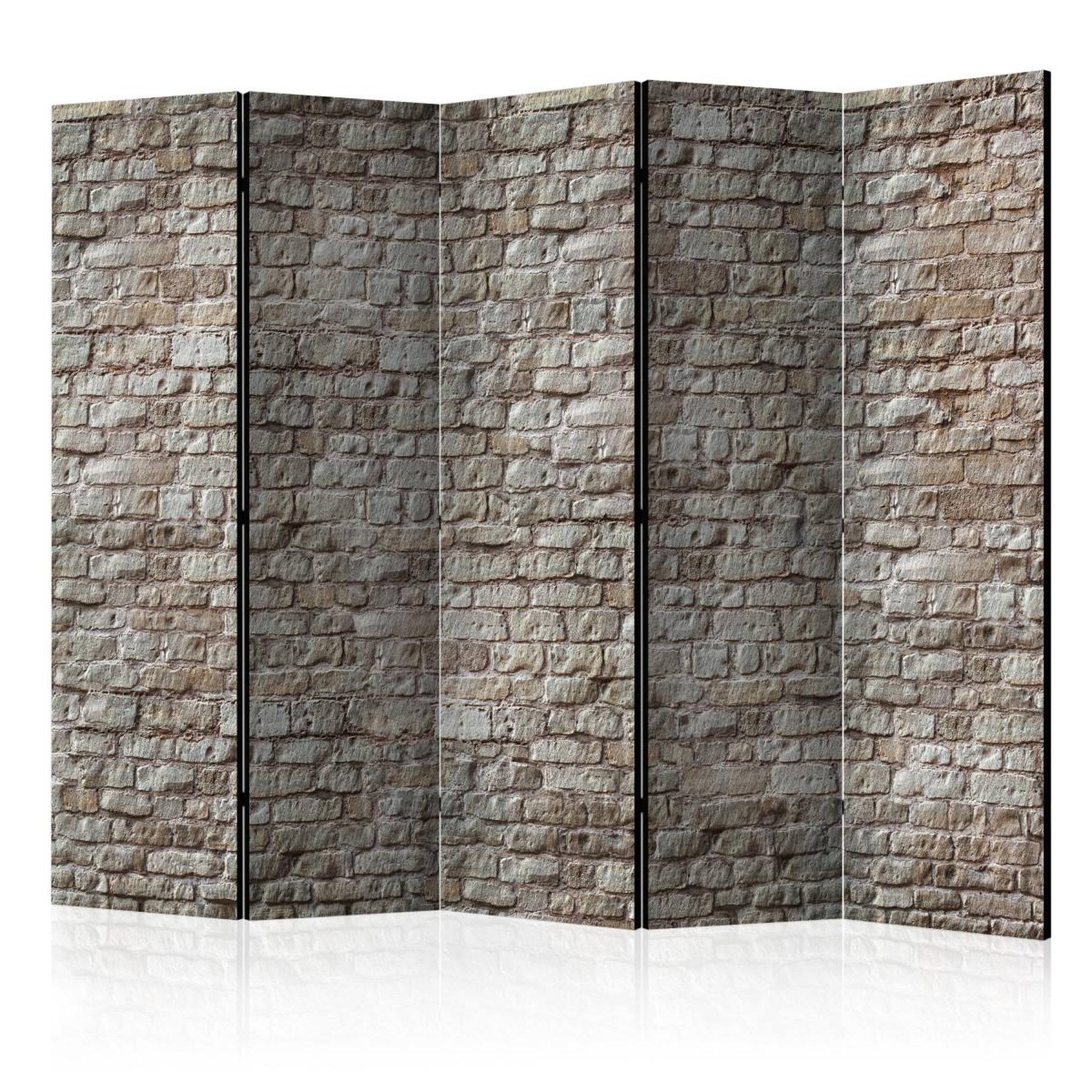 Paris Prix Paravent 5 volets  reality  172x225cm