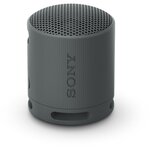 SONY Enceinte portable SRS-XB100 Noir Basalte