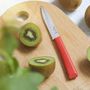 Voir la diapositive 3 : Opinel Coffret couteau trio Les Essentiels