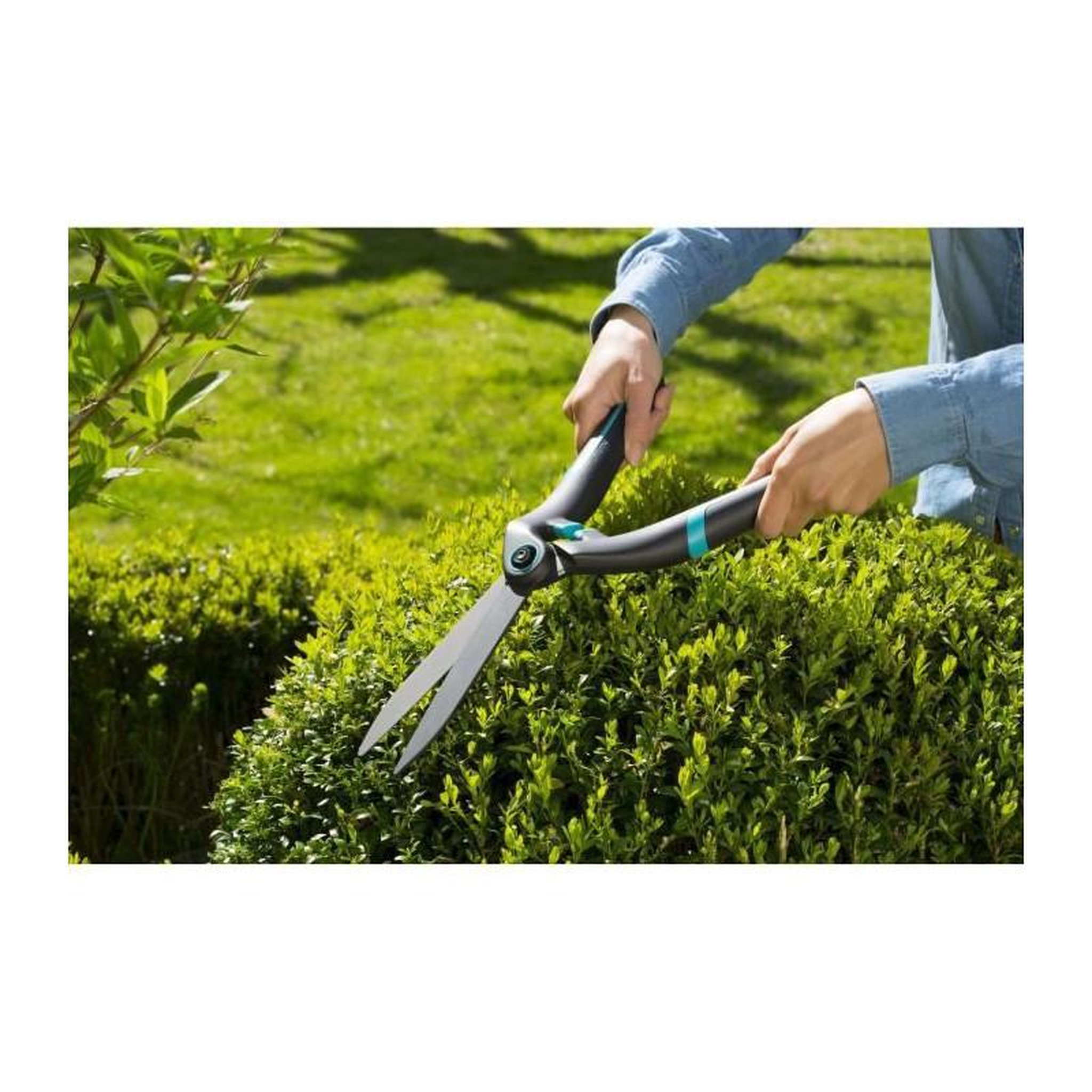 Voir la diapositive 4 : Gardena Cisaille à buis PrecisionCut - lames droites anti-adhérentes - 615 g - lames : 17 cm
