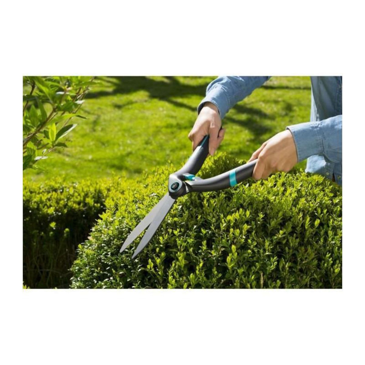 Gardena Cisaille à buis PrecisionCut - lames droites anti-adhérentes - 615 g - lames : 17 cm