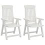 Voir la diapositive 2 : VIDAXL Chaises inclinables de jardin lot de 2 blanc PP