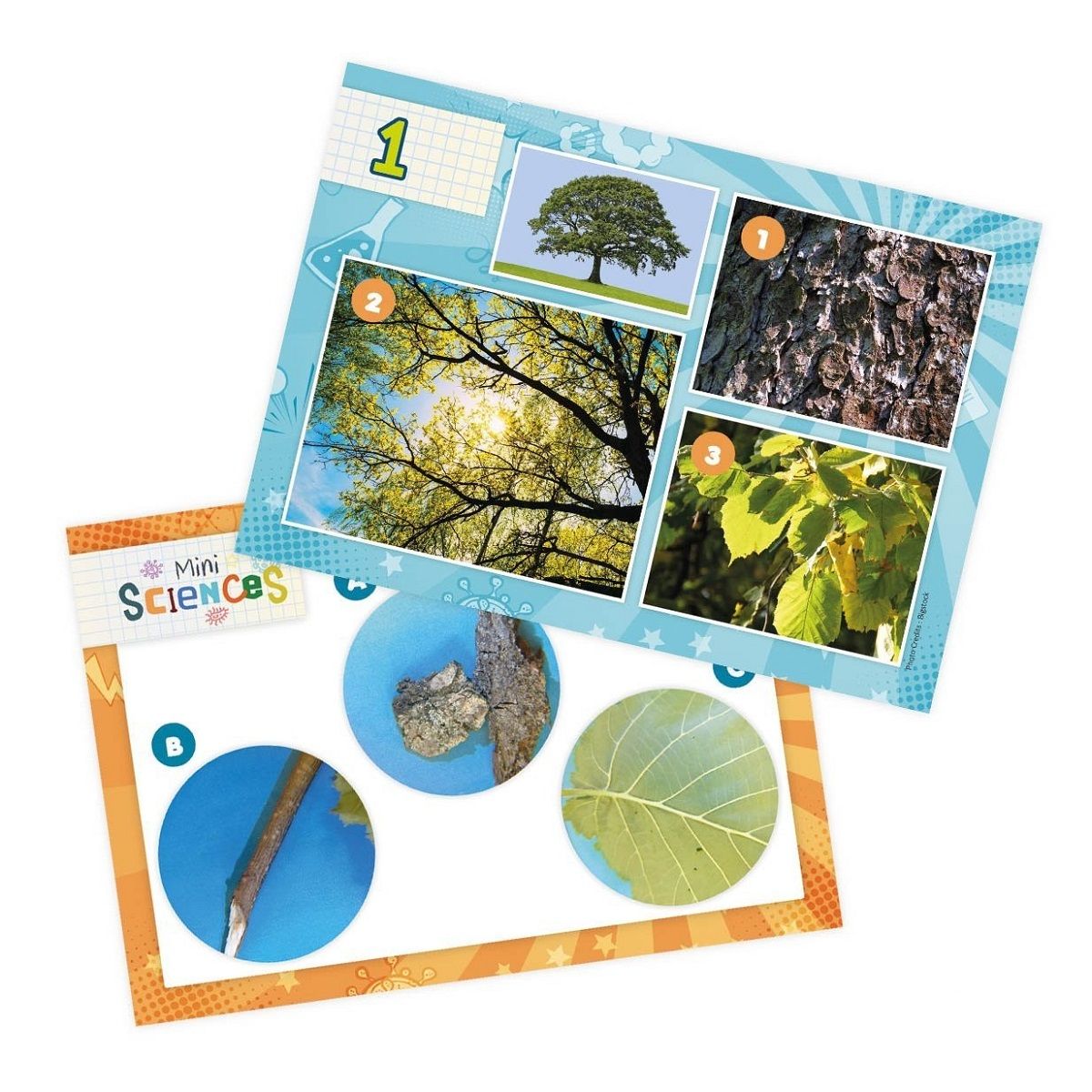 BUKI Microscope binoculaire mini sciences