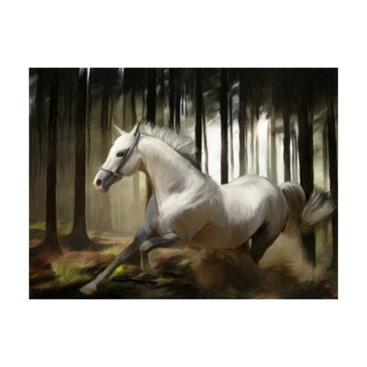 Paris Prix Papier Peint  La Course du Cheval Blanc