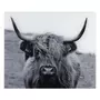 Wenko Fond de hotte en verre trempé Highland Cattle - Longueur 60 cm x Largeur 50 cm