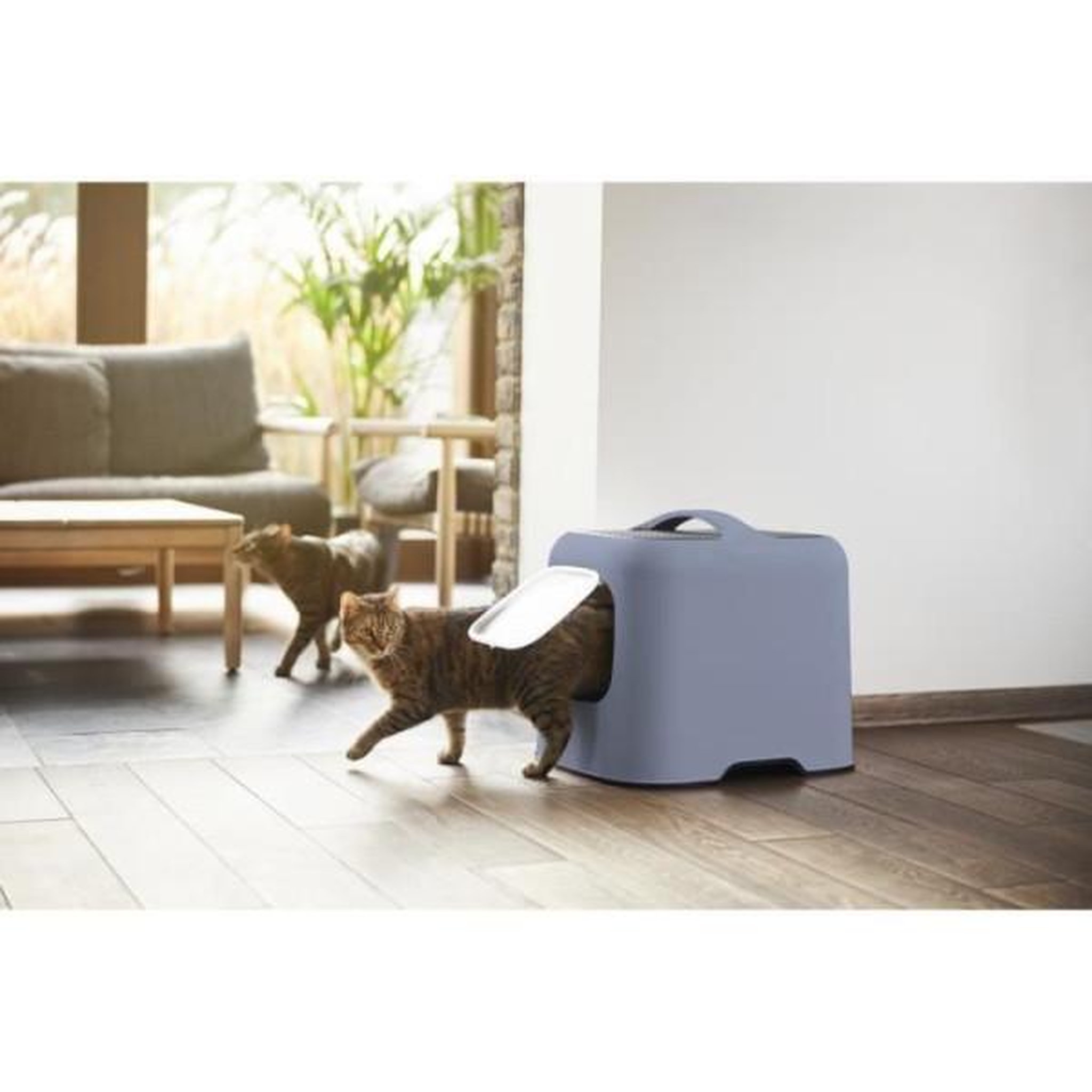 Voir la diapositive 3 : ROTHO Rotho - maison toilette pour chat 51 x 39 x 40 cm - bac a litiere - bleu horizon