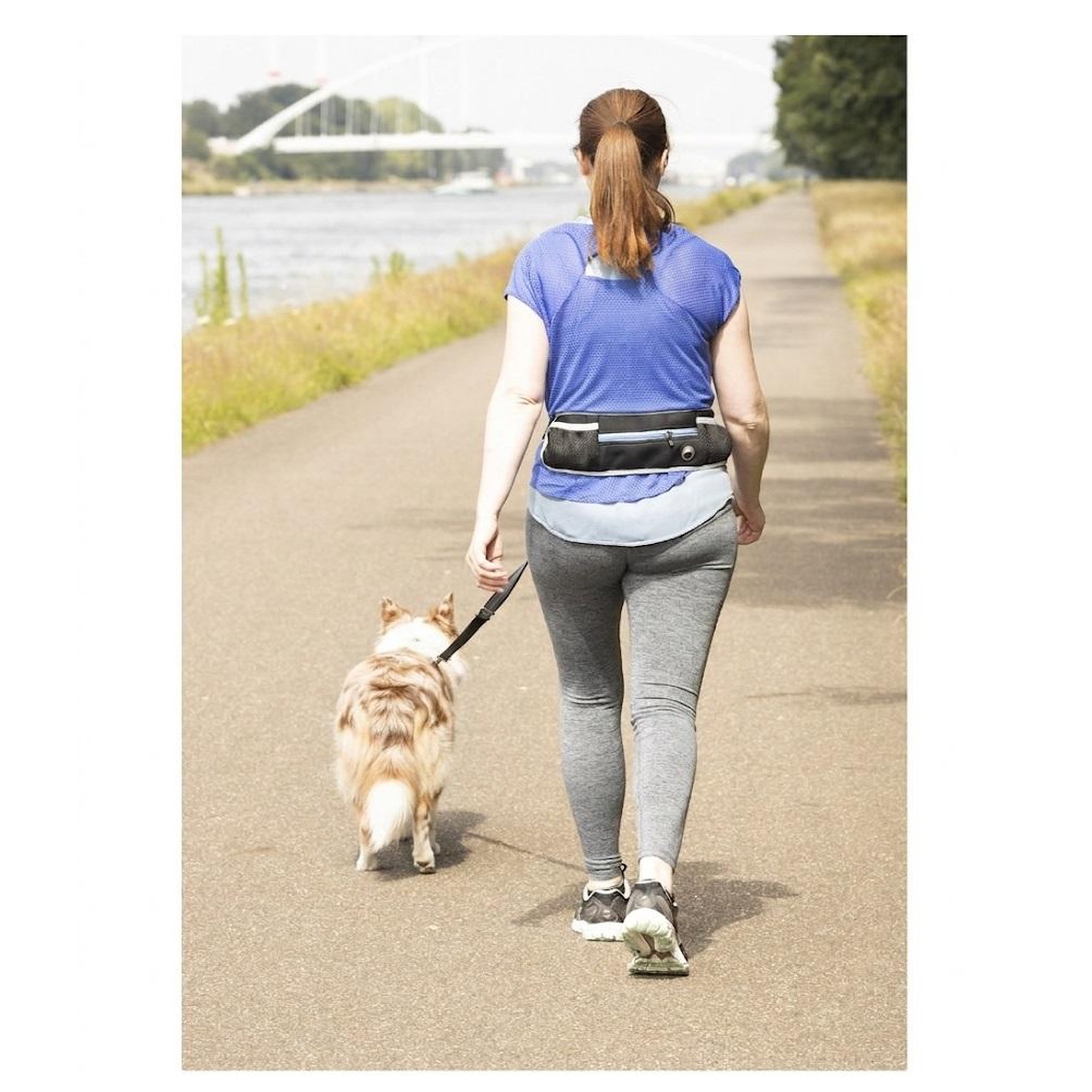 Voir la diapositive 3 : Eden Laisse de jogging pour chien avec ceinture ventrale bleu