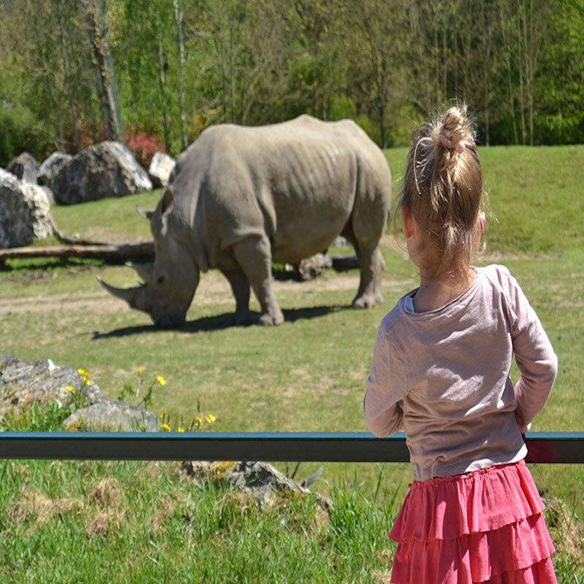 Smartbox Billets pour le ZooParc de Beauval 2026 : 1 entrée adulte et 2 entrées enfant pour 1 journée - Coffret Cadeau Multi-thèmes