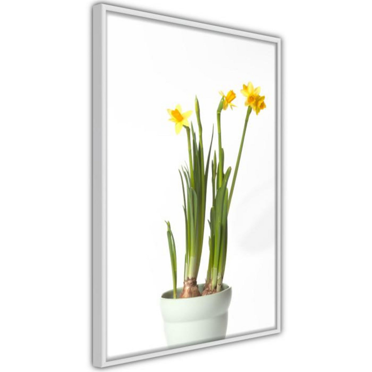 Paris Prix Affiche Murale Encadrée  Piece of Nature IV