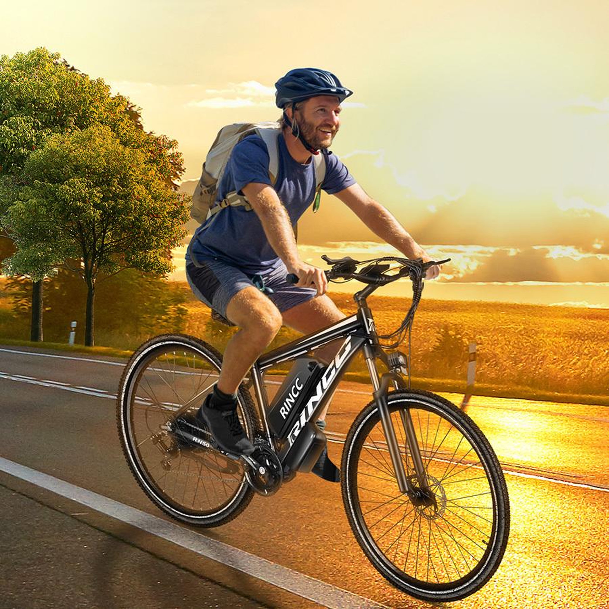 Voir la diapositive 3 : RINCC Vtt électrique rincc rn50