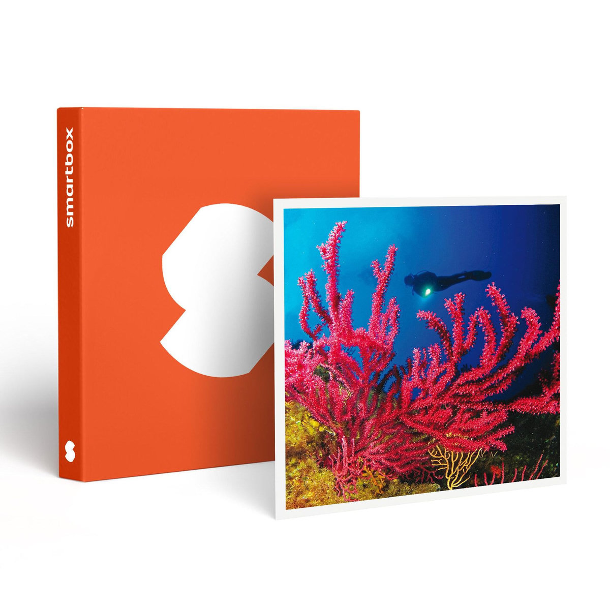 Smartbox Baptême de plongée passionnant de 3h en duo au large de Fréjus - Coffret Cadeau Sport & Aventure