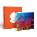 Smartbox Baptême de plongée passionnant de 3h en duo au large de Fréjus - Coffret Cadeau Sport & Aventure