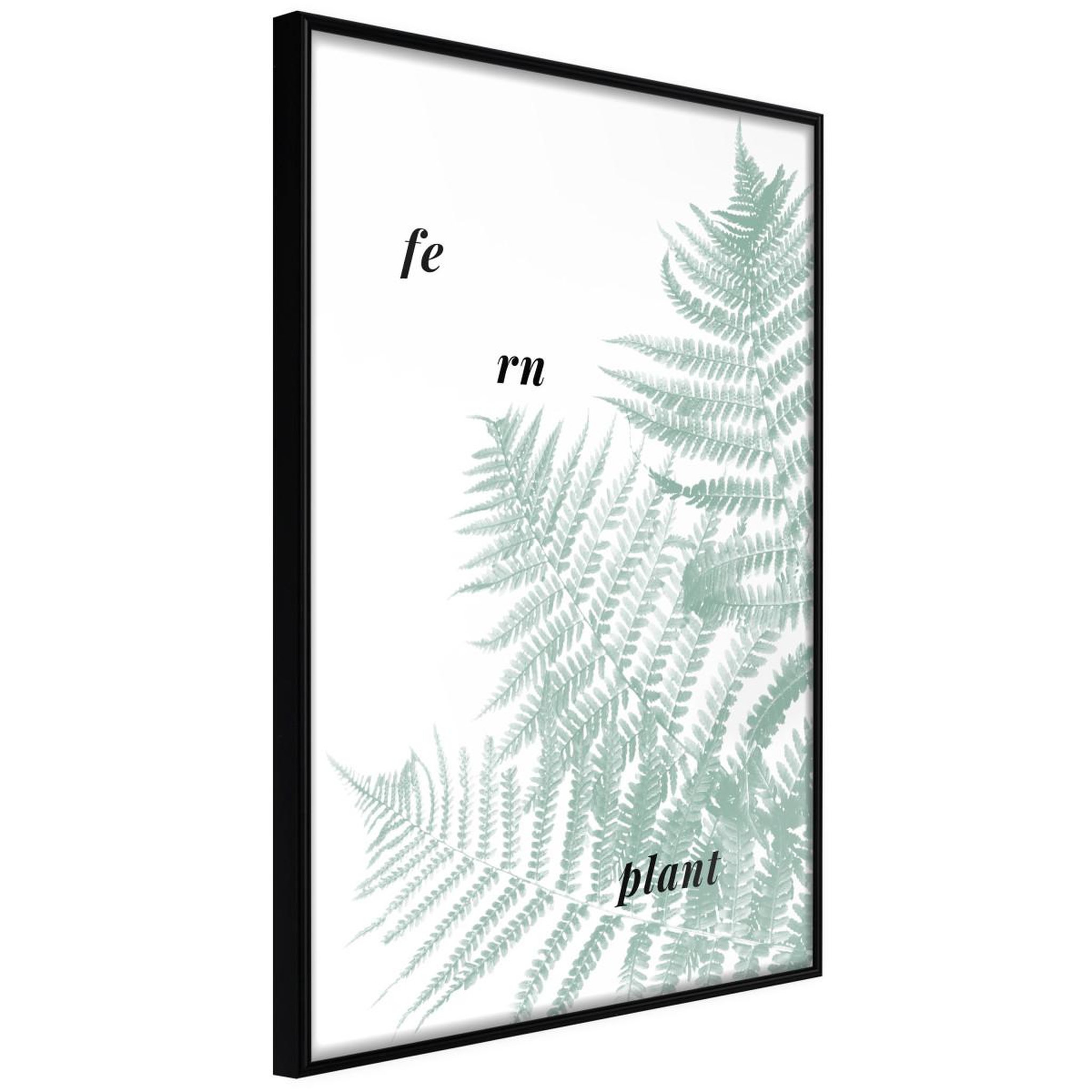 Paris Prix Affiche Murale Encadrée  Pale Green Fern