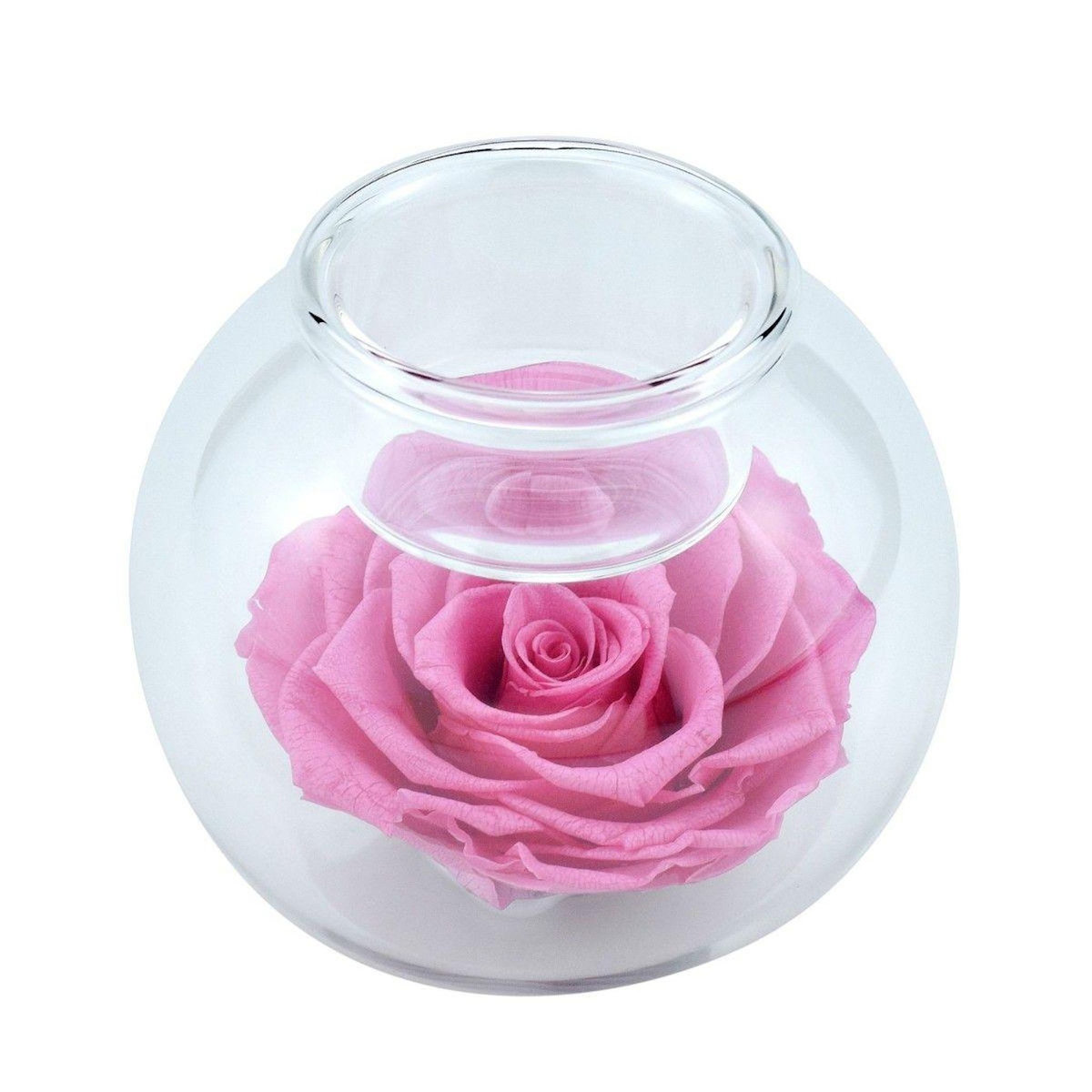 SC CRYSTAL Bougeoir en verre décoré d'une rose éternelle - stabilisée rose